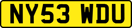 NY53WDU
