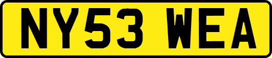 NY53WEA