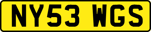 NY53WGS