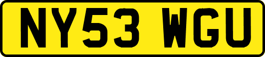 NY53WGU