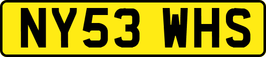NY53WHS