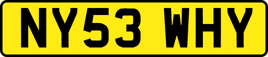 NY53WHY
