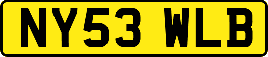 NY53WLB