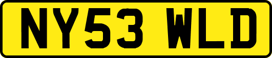 NY53WLD