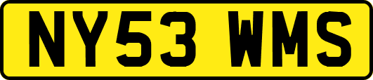 NY53WMS