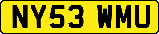 NY53WMU