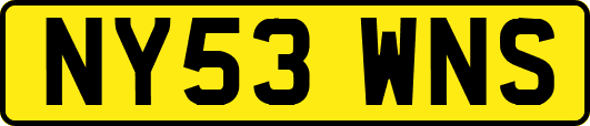 NY53WNS