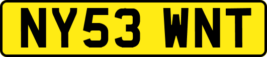 NY53WNT