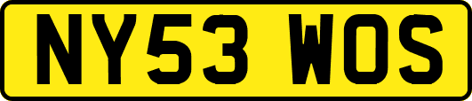 NY53WOS