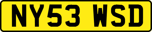 NY53WSD