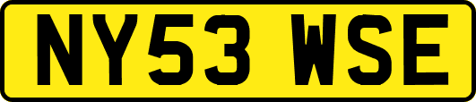 NY53WSE
