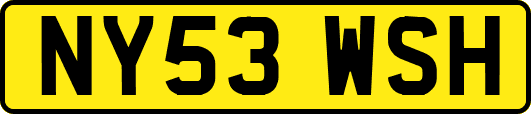 NY53WSH