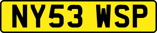 NY53WSP