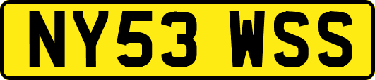 NY53WSS