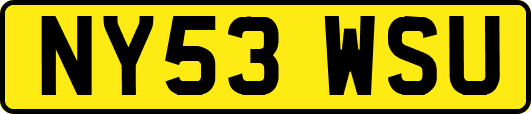 NY53WSU