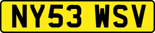 NY53WSV