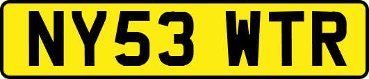 NY53WTR
