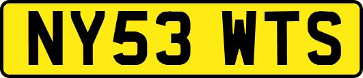 NY53WTS