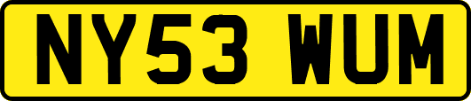 NY53WUM