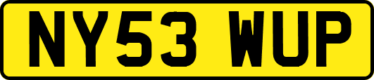 NY53WUP