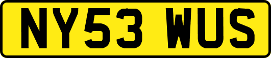 NY53WUS