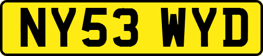 NY53WYD