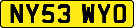 NY53WYO