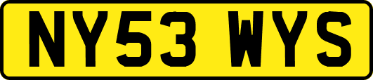 NY53WYS