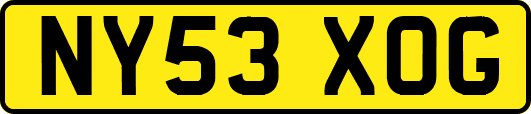 NY53XOG