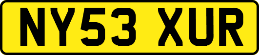 NY53XUR