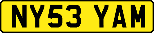 NY53YAM