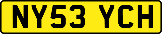 NY53YCH