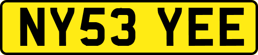 NY53YEE