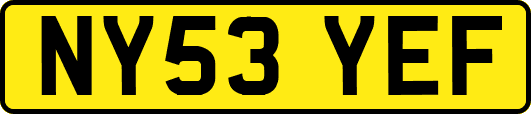 NY53YEF