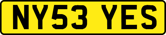 NY53YES