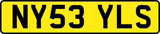NY53YLS