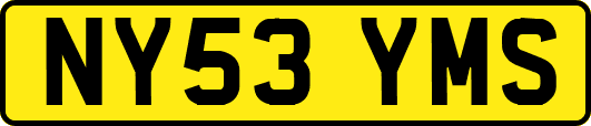 NY53YMS
