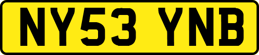 NY53YNB