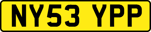 NY53YPP