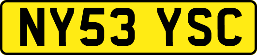 NY53YSC