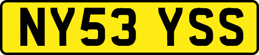 NY53YSS