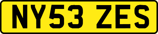 NY53ZES