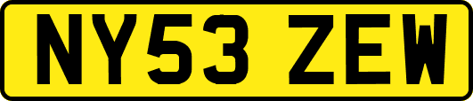 NY53ZEW