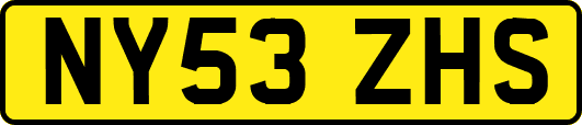 NY53ZHS
