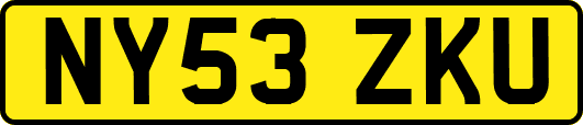 NY53ZKU