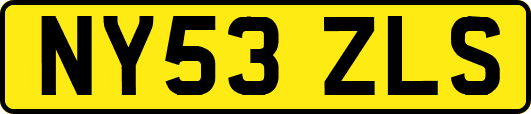 NY53ZLS