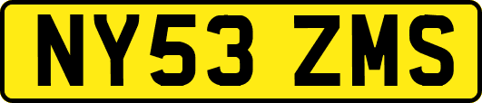 NY53ZMS