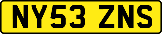 NY53ZNS