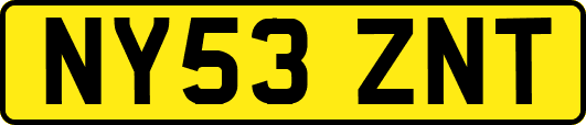 NY53ZNT