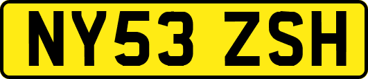 NY53ZSH
